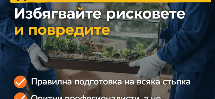 Професионално преместване на деликатни предмети с внимание към риска и детайлите